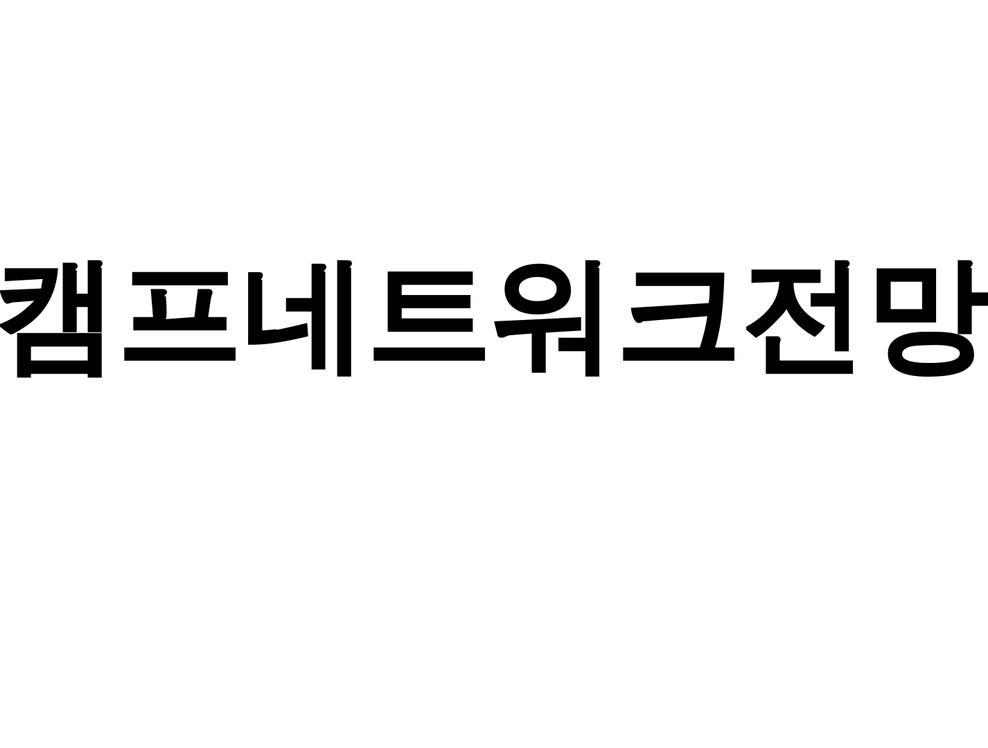 캠프네트워크전망